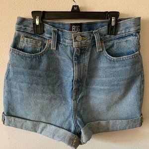 NWT BDG Urban Outfitters High Rise Mom Jean Shorts